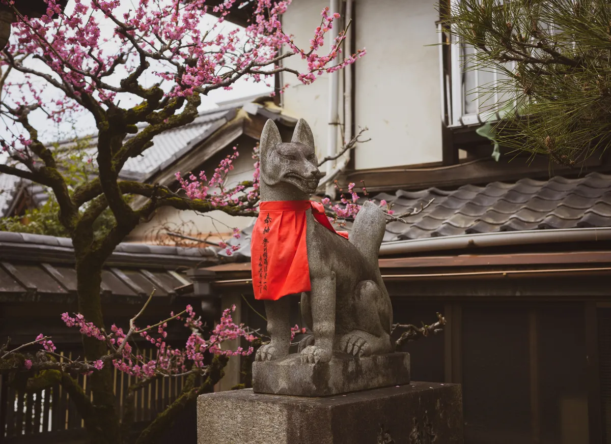 Kyoto, Japan, animal, temple